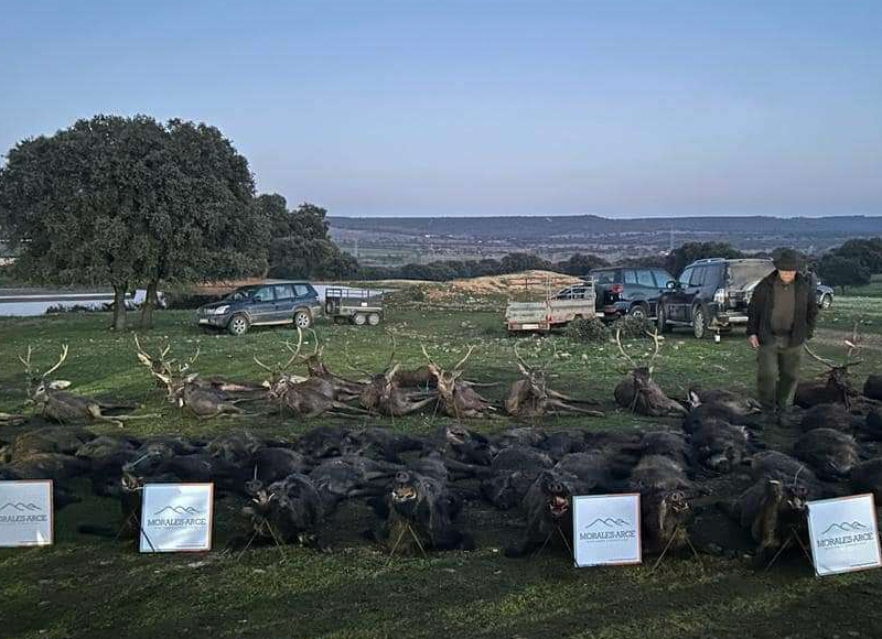 Resultado Montería Pachorras Silvadillo 2024 Morales Arce